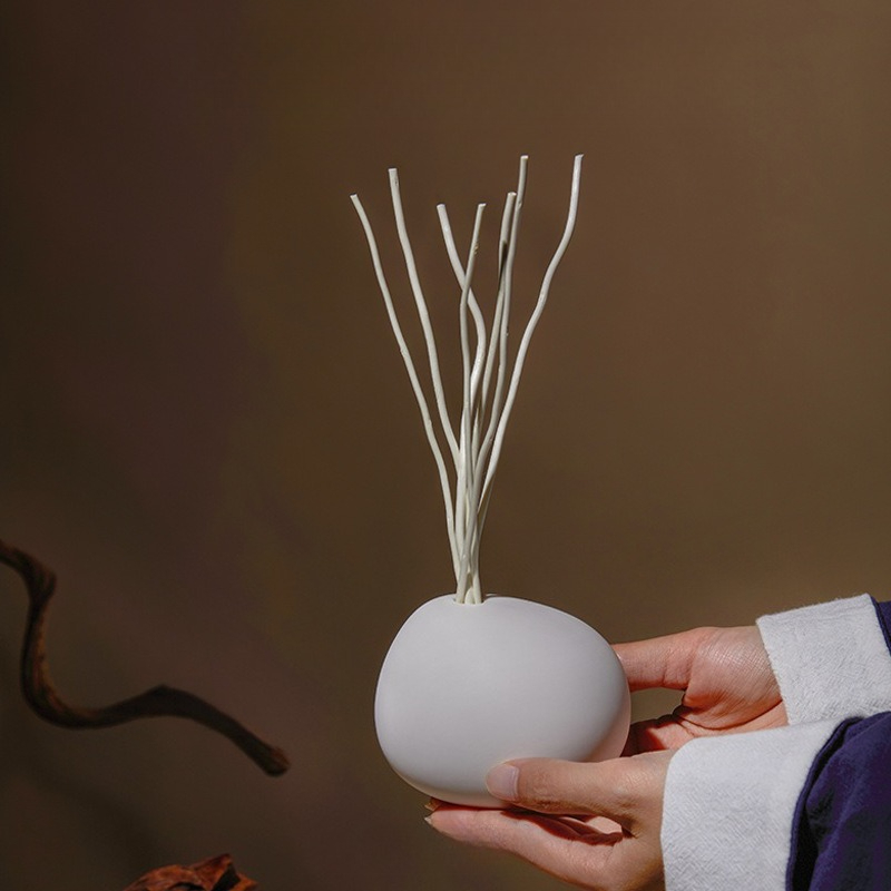 Diffusore di ance con profumo  - Home Fragrance White Zen recensione e prezzo