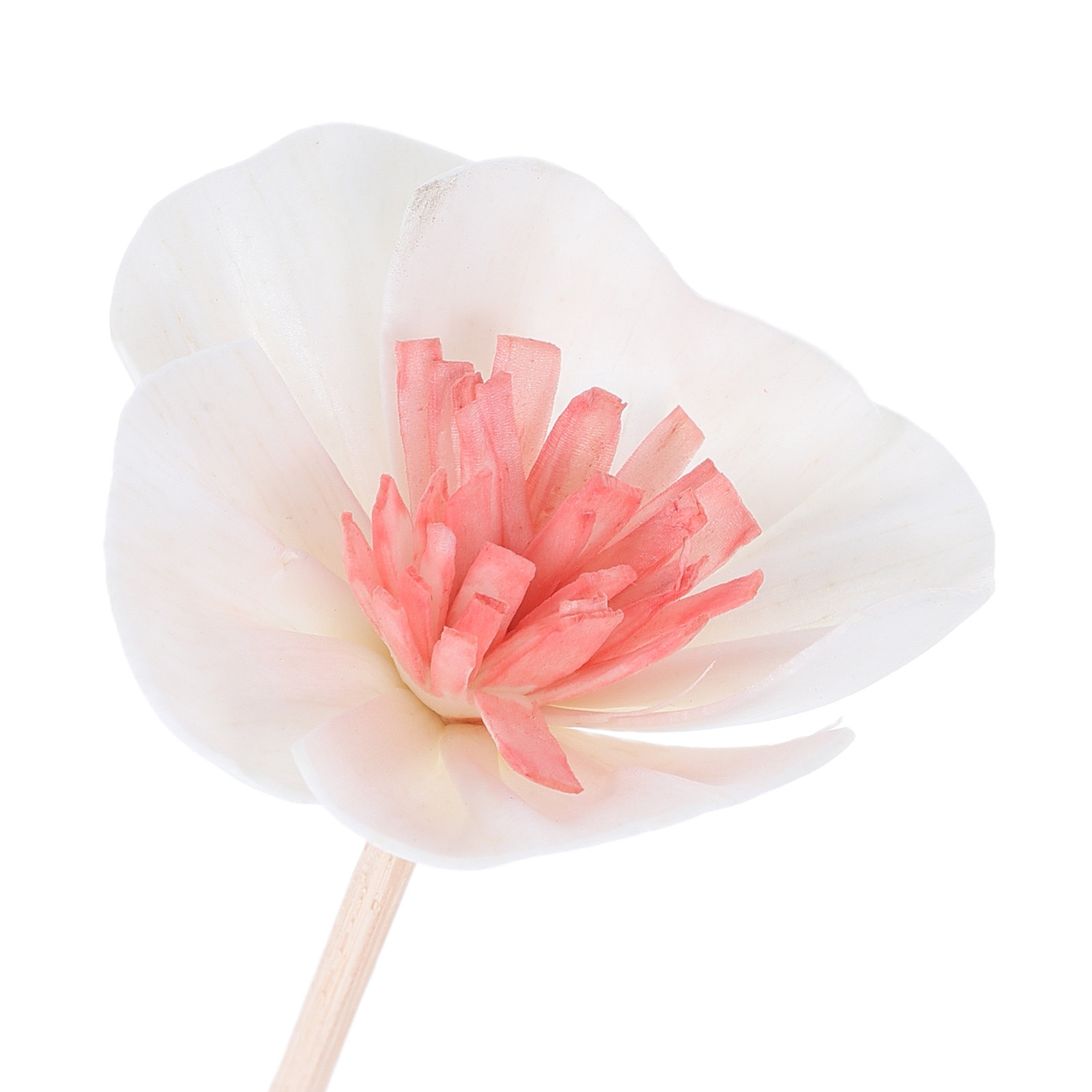 10 Bastoncini Diffusori per Ol - Home Fragrance With Essential Oils recensione e prezzo