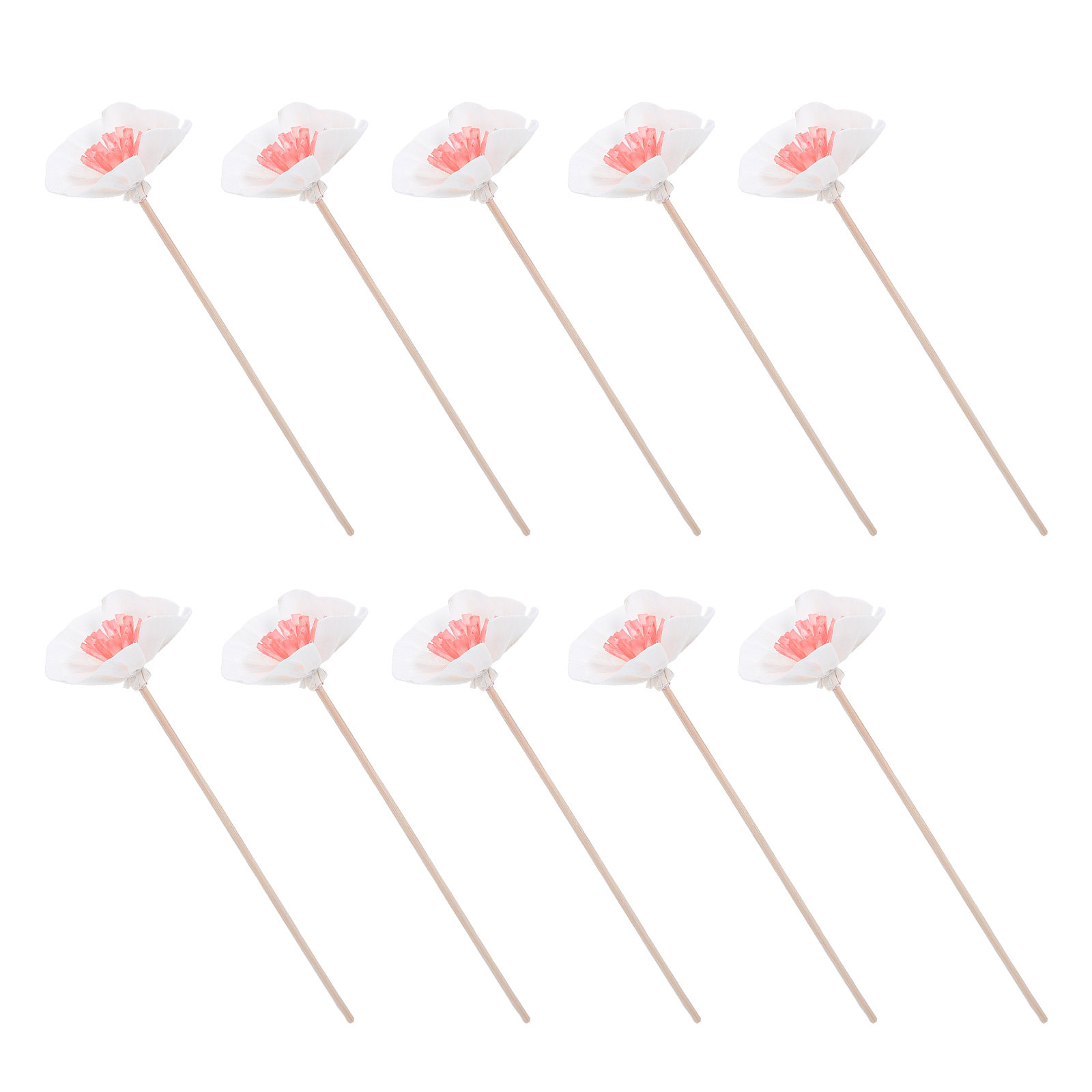10 Bastoncini Diffusori per Ol - Home Fragrance With Essential Oils recensione e prezzo